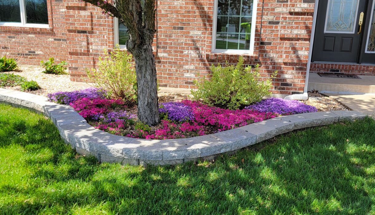 edging with flowers blooming