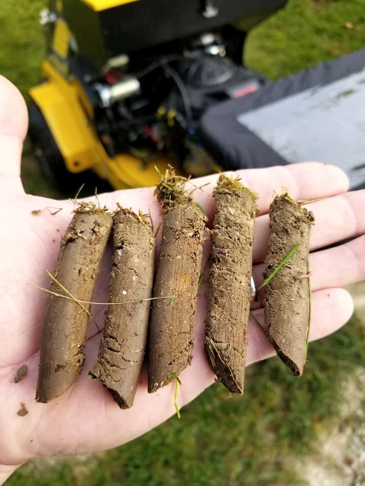 core aeration plugs from fall overseeding