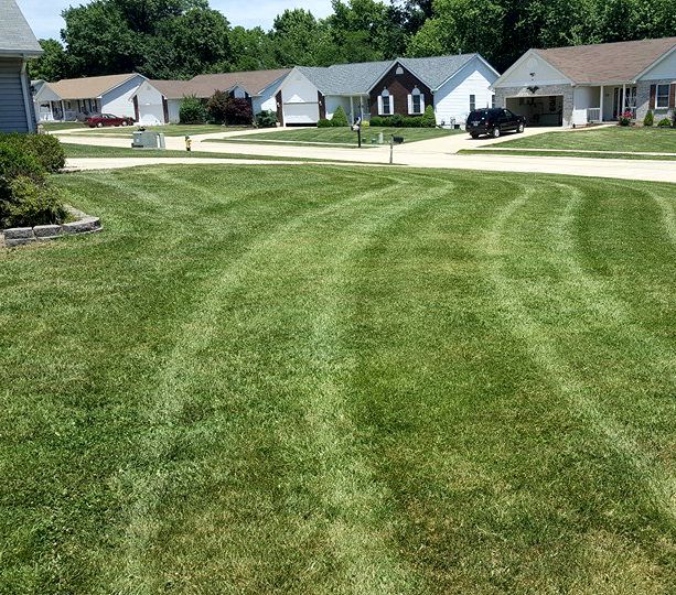 grass mowing in Troy, MO