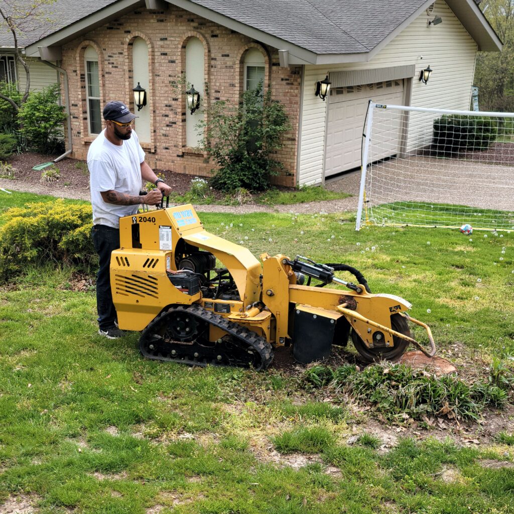 safe stump removal and cleanup